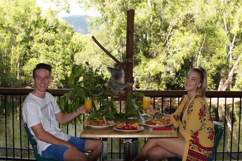 Hartley's Crocodile Adventures Breakfast With The Koalas - Hotel Accommodation 5