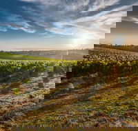 Perth to Margaret River Wine Tour - 2 Day Premium Boutique Wine Tour Experience - Hotel Accommodation