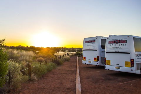 Uluru And Kata Tjuta Experience With BBQ Dinner - Hotel Accommodation 2