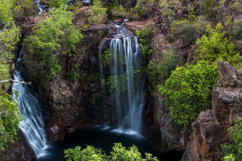 Litchfield National Park - Top End Day Tour From Darwin - Hotel Accommodation 2