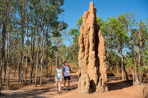 Litchfield National Park - Top End Day Tour From Darwin - Hotel Accommodation 4