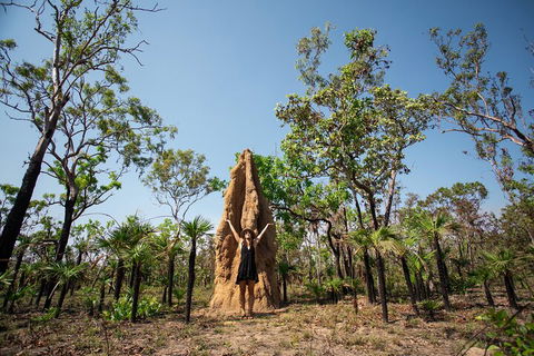 Litchfield National Park - Top End Day Tour From Darwin - Hotel Accommodation 5