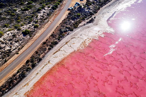 7-Day Exmouth Explorer Via Pinnacles Monkey Mia Ningaloo Reef Returning To Perth - Hotel Accommodation 0