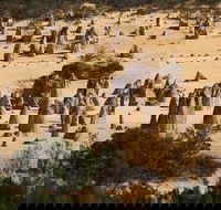 Pinnacles Sunset Dinner and Stargazing Experience a Small Group Tour - Hotel Accommodation