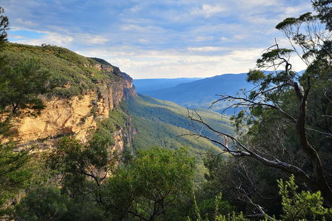 Sunset Blue Mountains Wilderness & Wildlife Tour Without The Crowds - Hotel Accommodation 2