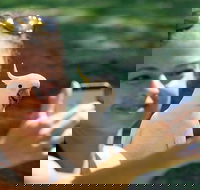 2-Day Melbourne to Adelaide Tour Great Ocean Road and Grampians One Way Trip - Hotel Accommodation