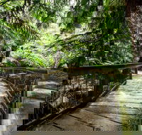 12 Apostles Eco-Friendly Great Ocean Road Iconic Adventure from Melbourne - Hotel Accommodation