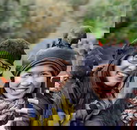 Small-Group Great Ocean Road and 12 Apostles Full-Day Tour from Melbourne - Hotel Accommodation