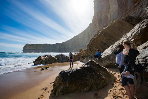 Small-Group Great Ocean Road And 12 Apostles Full-Day Tour From Melbourne - Hotel Accommodation 1