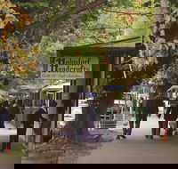 Adelaide Highlights Hahndorf  McLaren Vale Wine Tasting and Sightseeing Tour - Hotel Accommodation