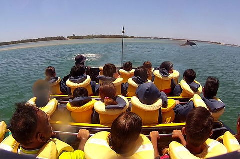 Jet Boat Express Ride - 30mins - Hotel Accommodation 5