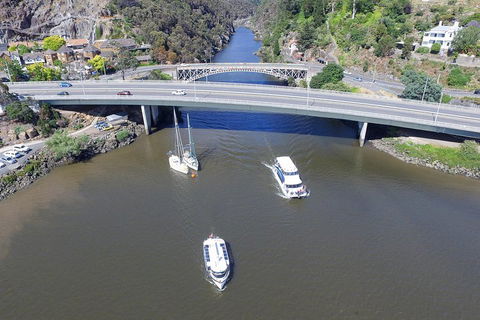 2.50 Hour Afternoon Discovery Cruise Including Cataract Gorge Departing At 3 Pm - Hotel Accommodation 1