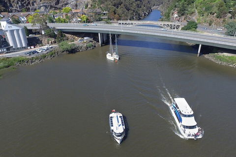 2.50 Hour Afternoon Discovery Cruise Including Cataract Gorge Departing At 3 Pm - Hotel Accommodation 3