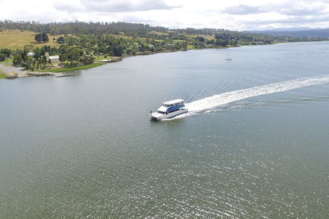 2.50 Hour Afternoon Discovery Cruise Including Cataract Gorge Departing At 3 Pm - Hotel Accommodation 4
