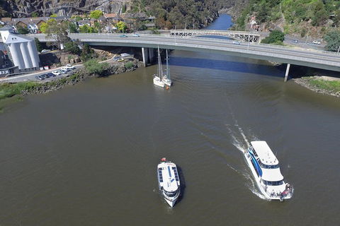 2.50 Hour Afternoon Discovery Cruise Including Cataract Gorge Departing At 3 Pm - Hotel Accommodation 5