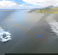 2.5 hour Afternoon Discovery Cruise including Cataract Gorge departs at 1 30 pm - Hotel Accommodation