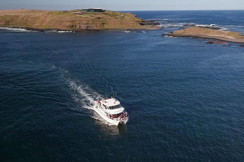 Phillip Island Seal-Watching Cruise - Hotel Accommodation 1