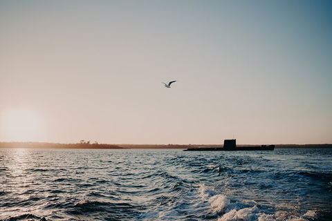 Phillip Island Twilight Cruise - Hotel Accommodation 1