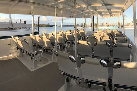 Whitsunday Bullet Day Trip - Whitehaven Beach And Snorkelling - Hotel Accommodation 5