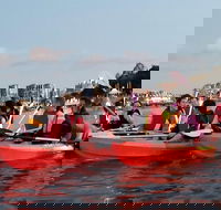 Brisbane River Guided Evening Tour by Kayak - Our Most Popular Tour - Hotel Accommodation
