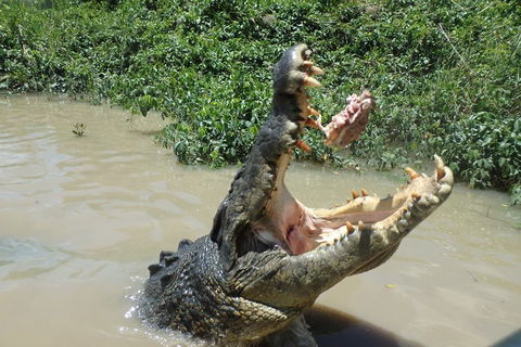 Litchfield And Jumping Crocodiles Full Day Trip From Darwin - Hotel Accommodation 3