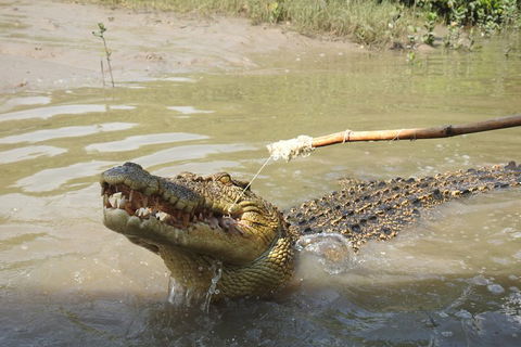 Litchfield And Jumping Crocodiles Full Day Trip From Darwin - Hotel Accommodation 4