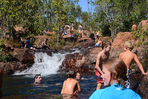 Litchfield And Jumping Crocodiles Full Day Trip From Darwin - Hotel Accommodation 5