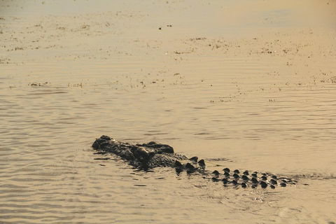 Yellow Water Cruise - Kakadu - Hotel Accommodation 2