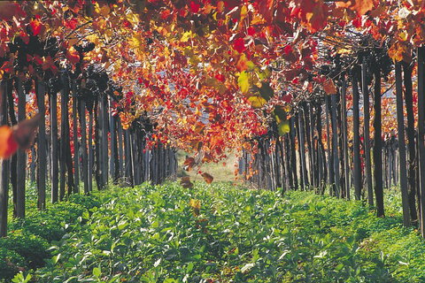 Margaret River Private Tour - Hotel Accommodation 0