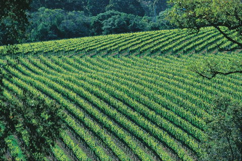 Margaret River Private Tour - Hotel Accommodation 4