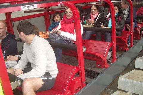 Blue Mountains Private Tour With Wildlife Park And River Cruise - Hotel Accommodation 0