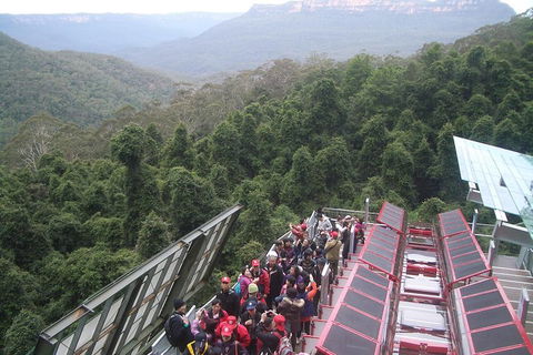 Blue Mountains Private Tour With Wildlife Park And River Cruise - Hotel Accommodation 1
