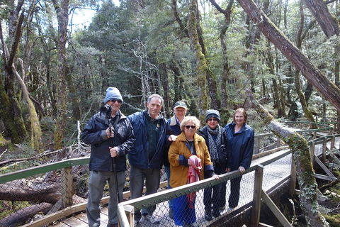 Blue Mountains Private Tour With Wildlife Park And River Cruise - Hotel Accommodation 2