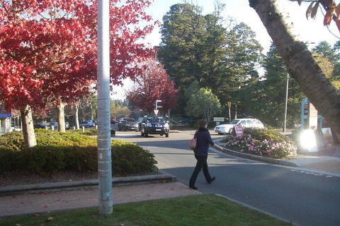 PRIVATE All-Day Blue Mountains Tour With Professional Guide For Up To 4 People - Hotel Accommodation 1