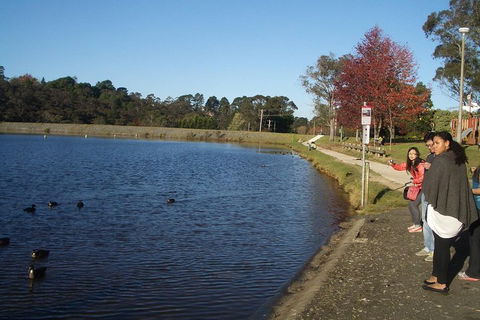 PRIVATE All-Day Blue Mountains Tour With Professional Guide For Up To 4 People - Hotel Accommodation 2