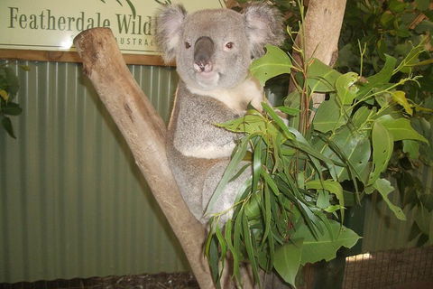 Blue Mountains Private Full-Day Tour From Sydney With Cruise - Hotel Accommodation 0