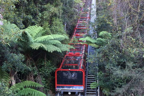 Blue Mountains Private Full-Day Tour From Sydney With Cruise - Hotel Accommodation 5