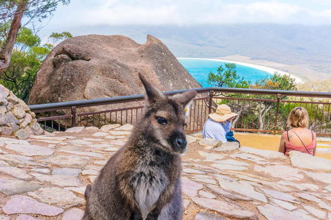 Wineglass Bay & Freycinet NP Full Day Tour From Hobart Via Richmond Village - Hotel Accommodation 0