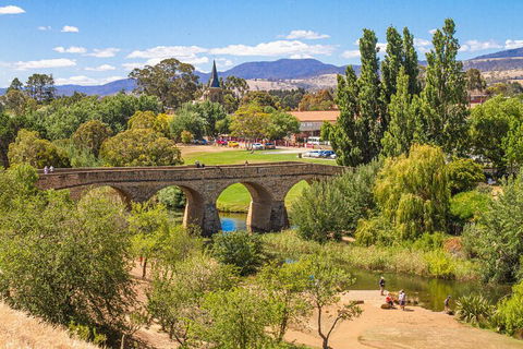 Wineglass Bay & Freycinet NP Full Day Tour From Hobart Via Richmond Village - Hotel Accommodation 4