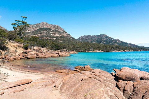 Wineglass Bay & Freycinet NP Full Day Tour From Hobart Via Richmond Village - Hotel Accommodation 5