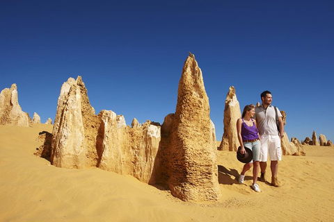 Pinnacles Day Trip From Perth Including Yanchep National Park - Hotel Accommodation 0