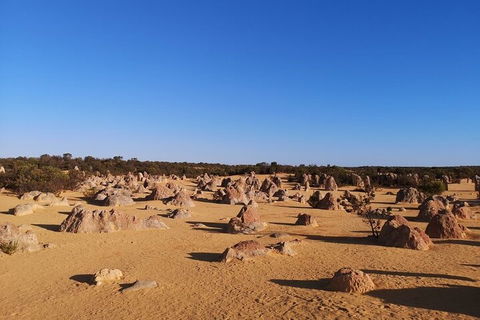 Pinnacles Day Trip From Perth Including Yanchep National Park - Hotel Accommodation 3