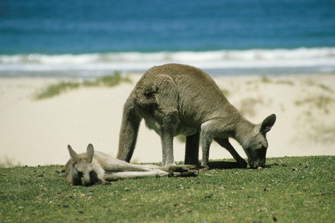 Great Ocean Road Highlights Tour - 2 Days, 1 Night - Hotel Accommodation 2