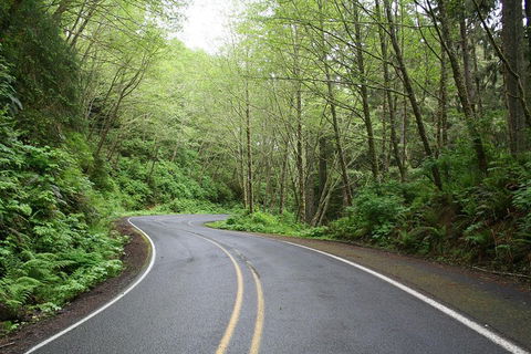 Great Ocean Road Highlights Tour - 2 Days, 1 Night - Hotel Accommodation 4