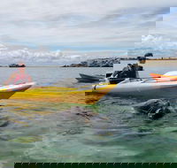 Seal Island and Penguin Island or Point Peron Sea Kayak Tour - Hotel Accommodation