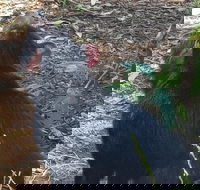 Phillip Island Penguin and wildlife Tour - Hotel Accommodation