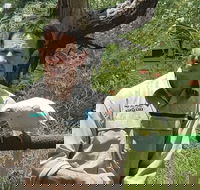 Healesville Sanctuary and Rayners Orchard Tour from Melbourne - Hotel Accommodation