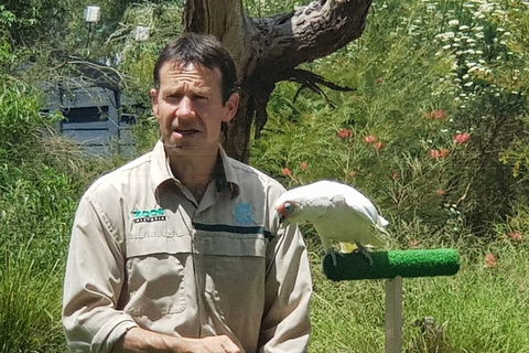 Healesville Sanctuary And Rayners Orchard Tour From Melbourne - Hotel Accommodation 0