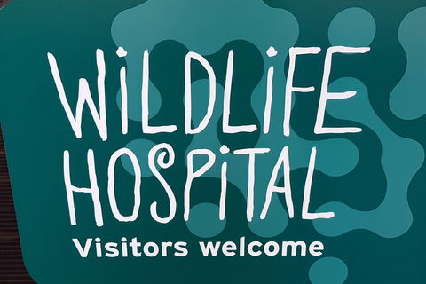 Healesville Sanctuary And Rayners Orchard Tour From Melbourne - Hotel Accommodation 1