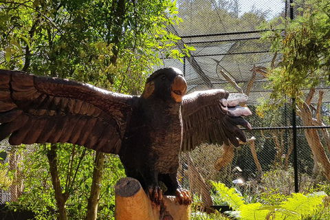 Healesville Sanctuary And Rayners Orchard Tour From Melbourne - Hotel Accommodation 2